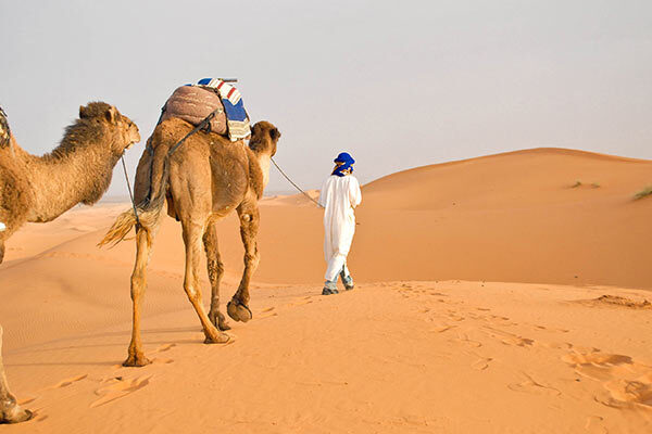 egypt image gallery 2