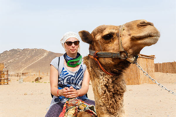 egypt image gallery 6