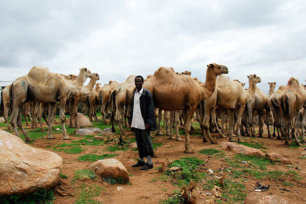 ethiopia image gallery 3