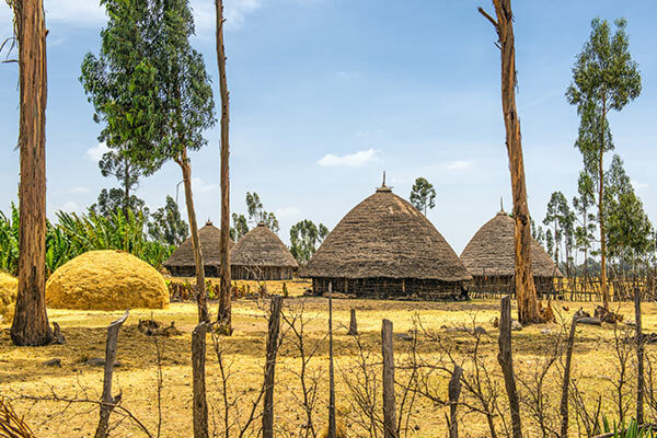 ethiopia image gallery 7