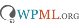 landing logo wpml landing logo wpml
