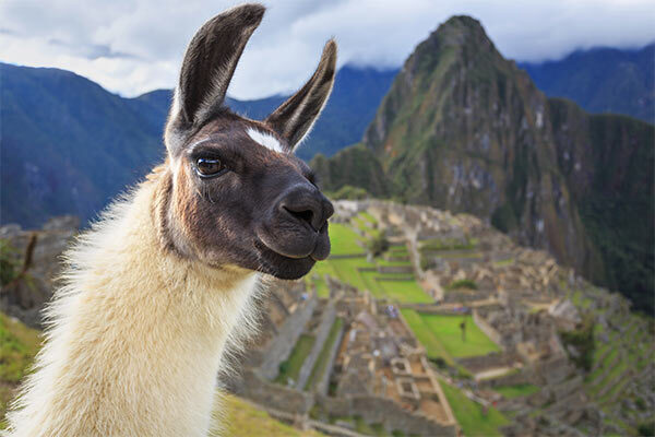 machu picchu image gallery 10