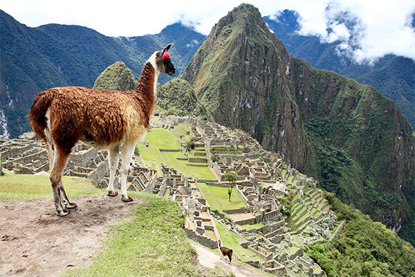 machu picchu image gallery 3
