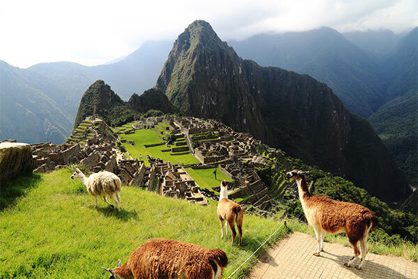 machu picchu image gallery 9
