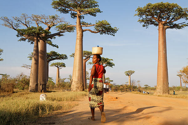madagascar image gallery 11
