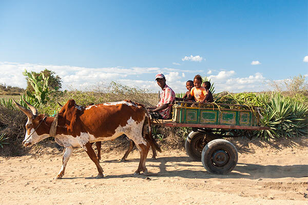 madagascar image gallery 2