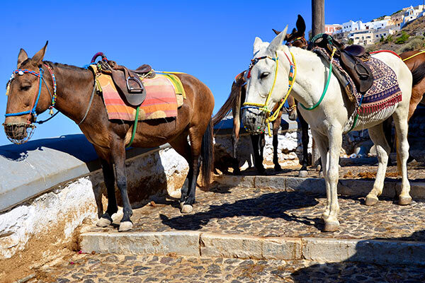 santorini image gallery 6