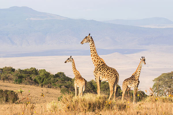 thailand image gallery 11