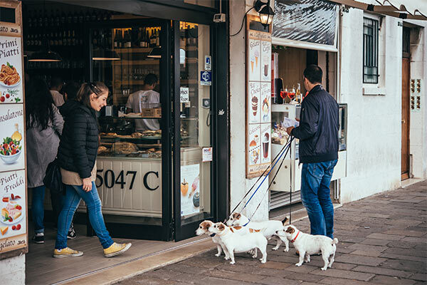 venice image gallery 7