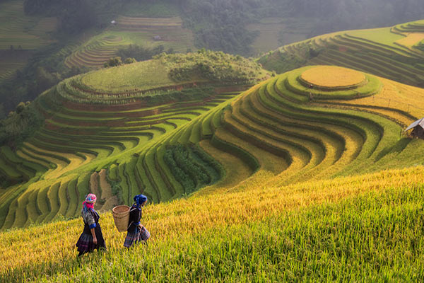 vietnam image gallery 9