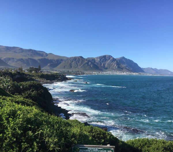 hermanus walkers bay
