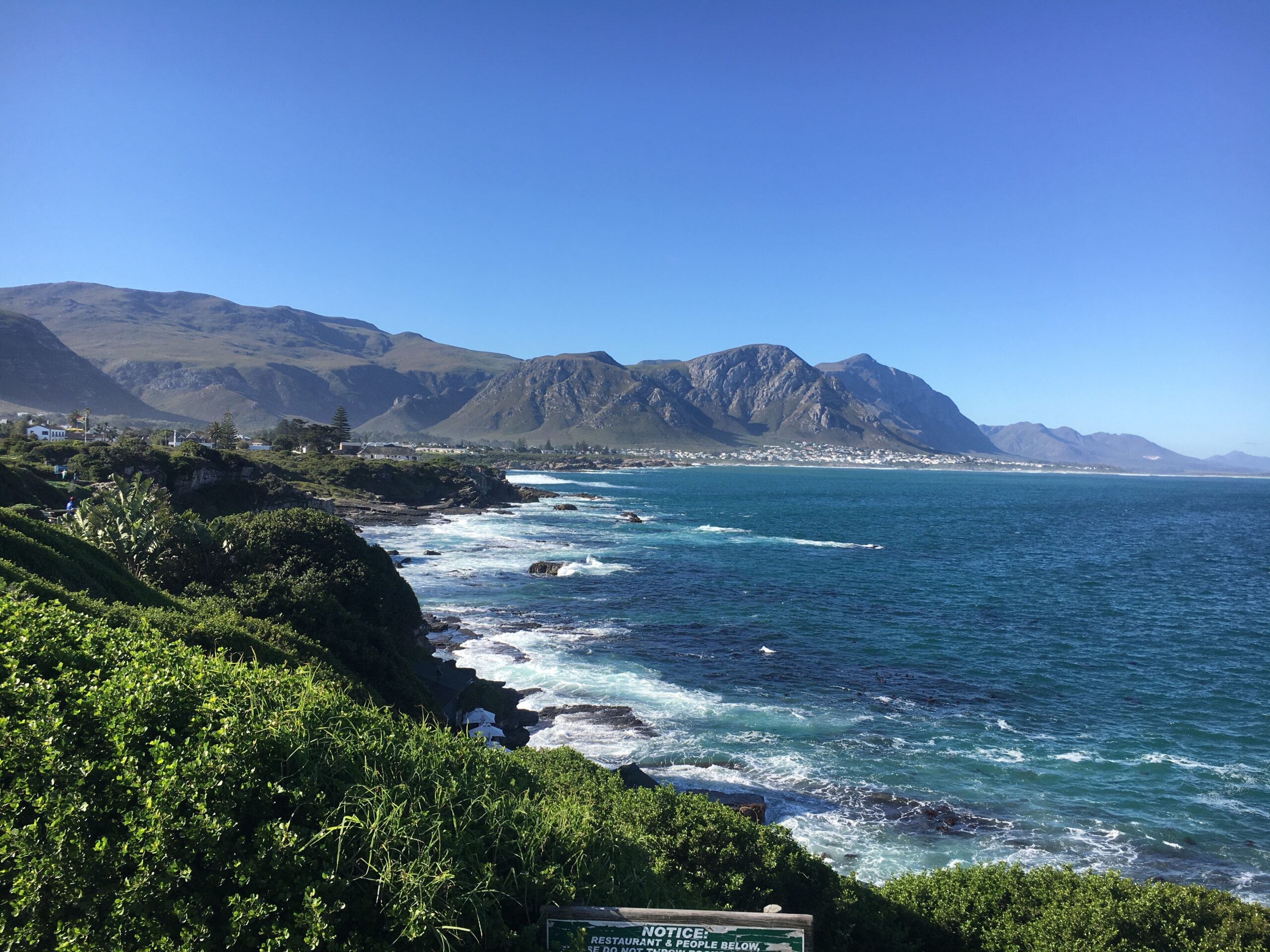 hermanus walkers bay