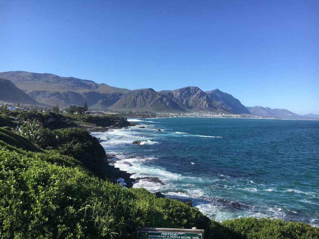 hermanus walkers bay