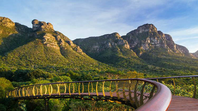 kirstenbosch