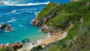 knysna