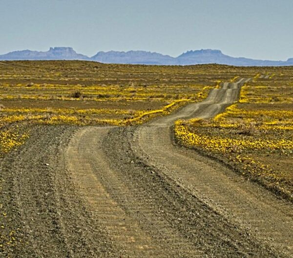 tankwa road