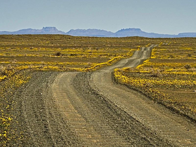 tankwa road