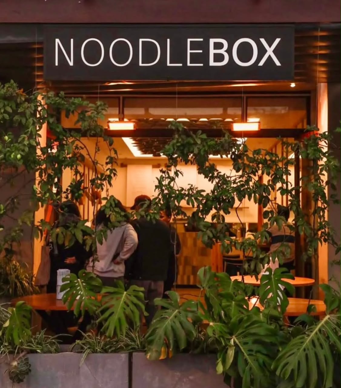 noodle box